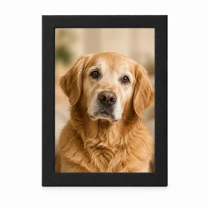 Personalized Pet Memorial Photo Frame